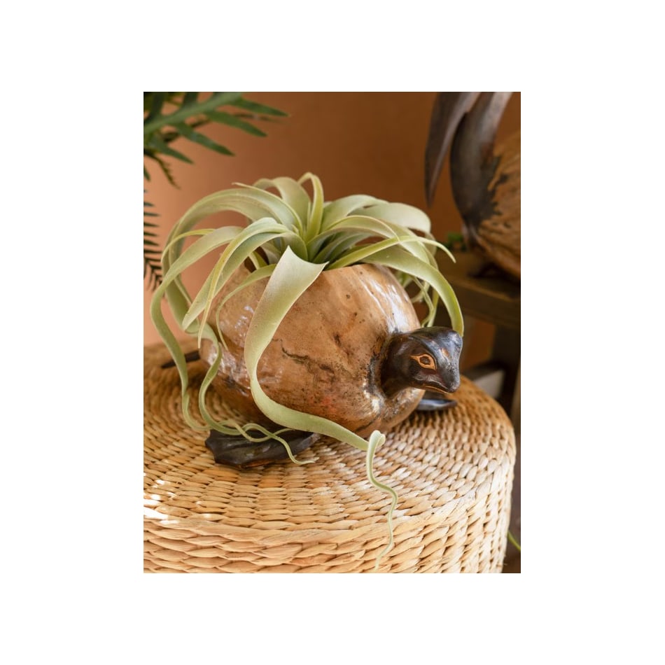 kala brown jar vase bowl plate   