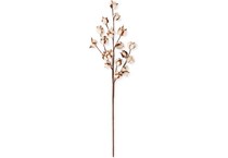 kkin brown grasses sticks greens ast  