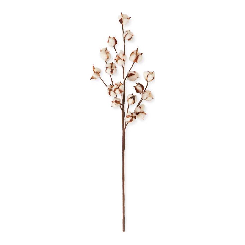 kkin brown grasses sticks greens ast  