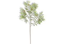 kkin grasses sticks greens   