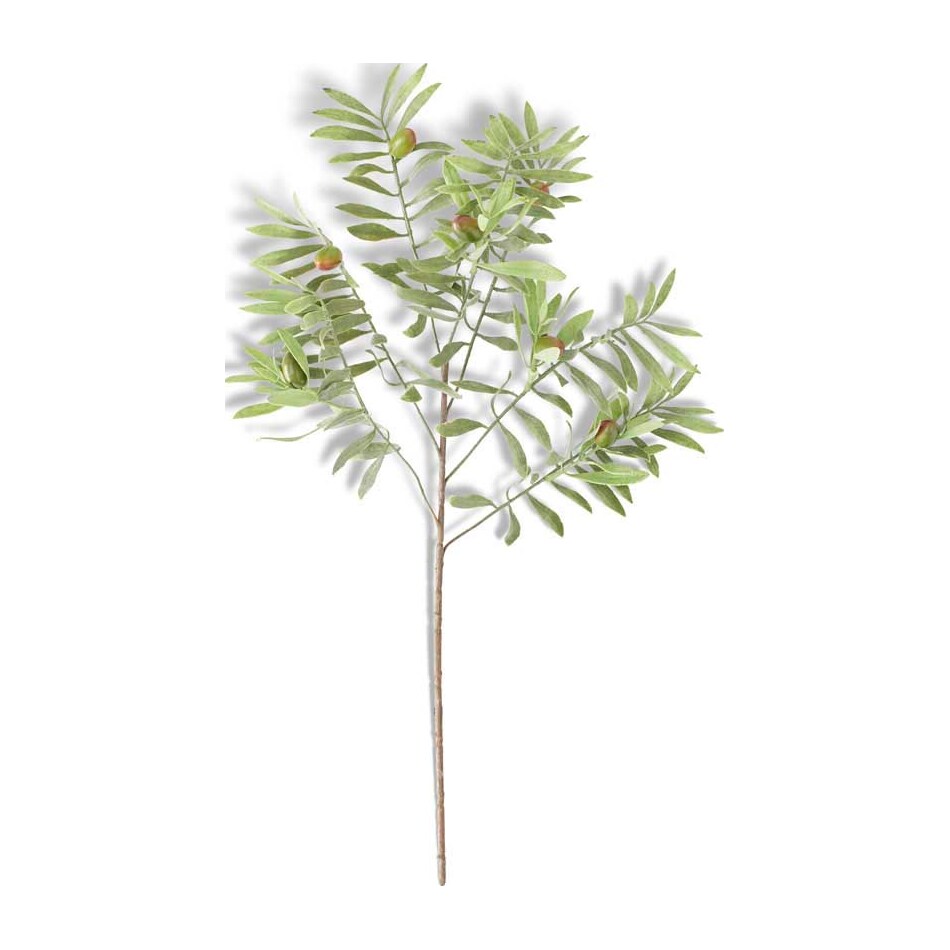 kkin grasses sticks greens   