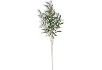 kkin green grasses sticks greens   