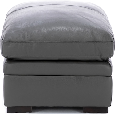 Levy Leather Ottoman