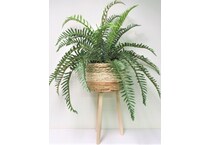 lcg sales inc green plants   