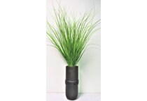 lcg sales inc green plants   