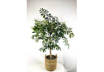 lcg sales inc green trees   