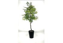 lcg sales inc green trees   