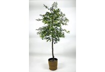 lcg sales inc green trees   