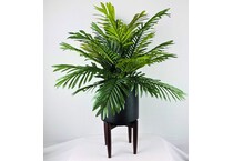 lcgs green plants   