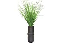 lcgs green plants   