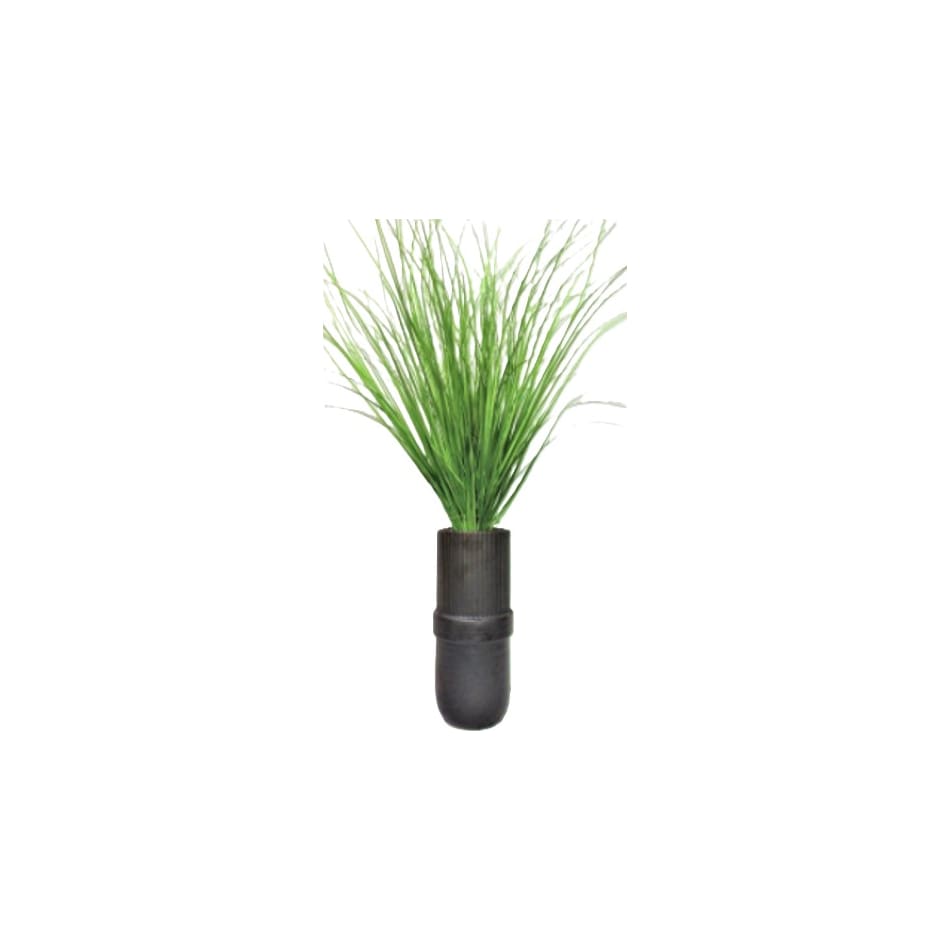 lcgs green plants   