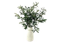 lcgs green plants   