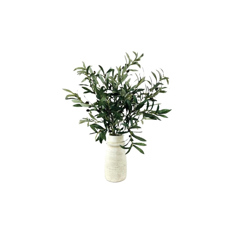 lcgs green plants   