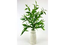 lcgs green plants   