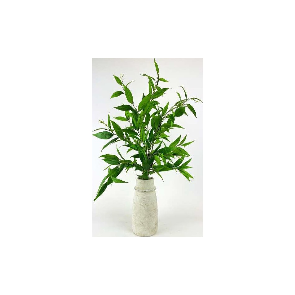 lcgs green plants   