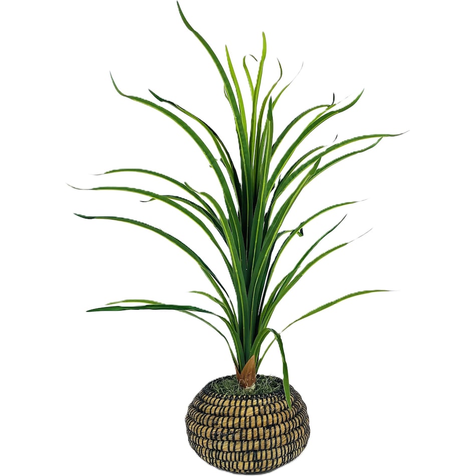 lcgs green plants   