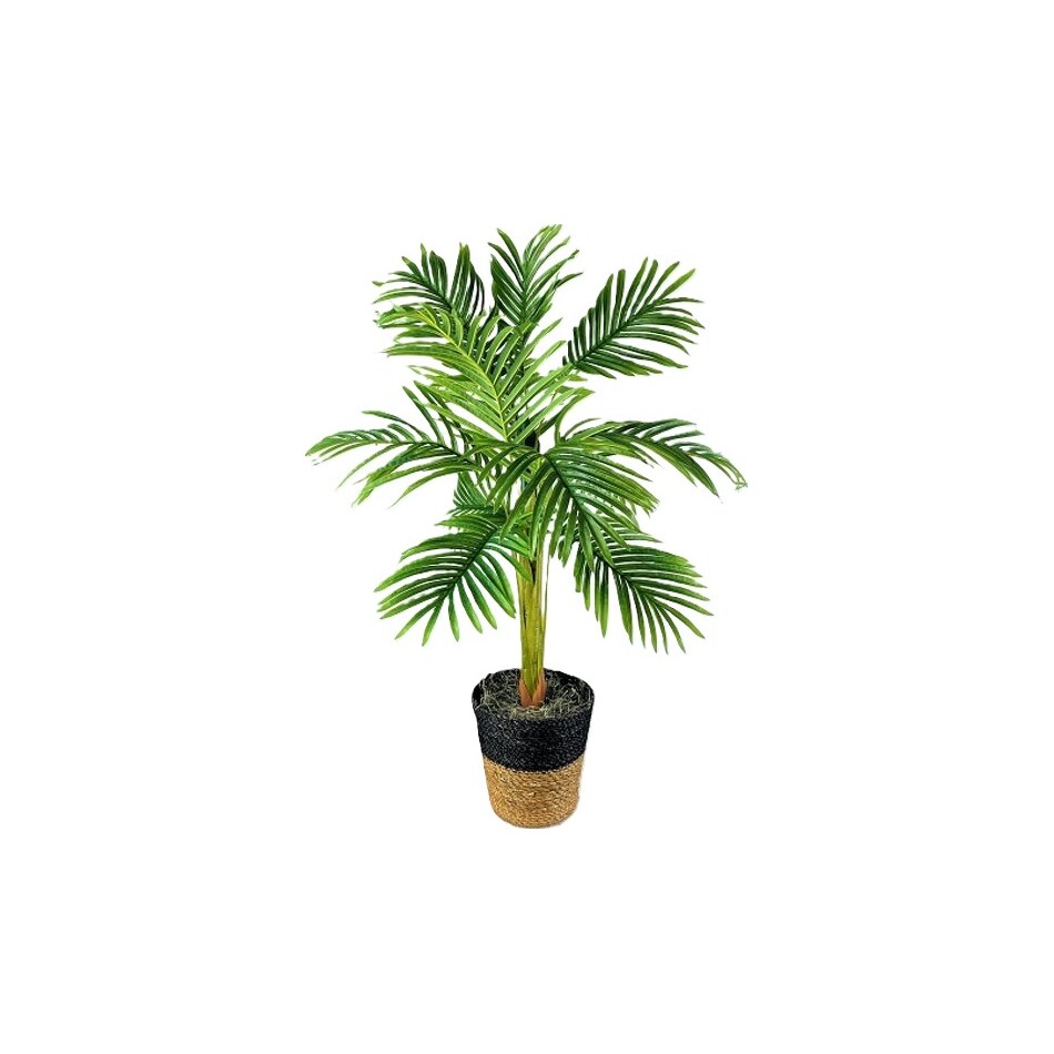 lcgs green trees   