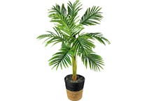 lcgs green trees   
