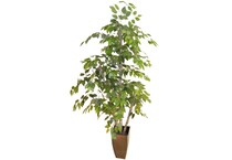 lcgs green trees   