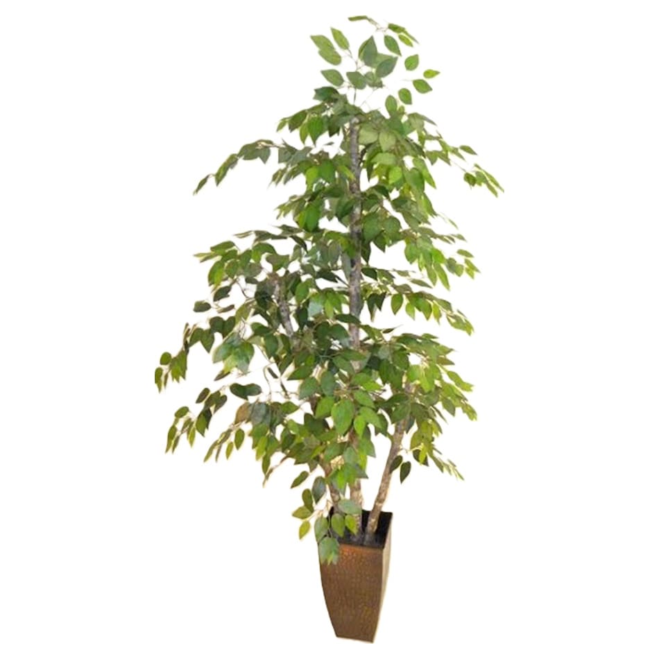 lcgs green trees   