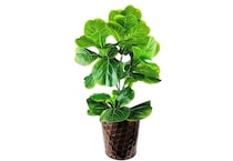 lcgs green trees   