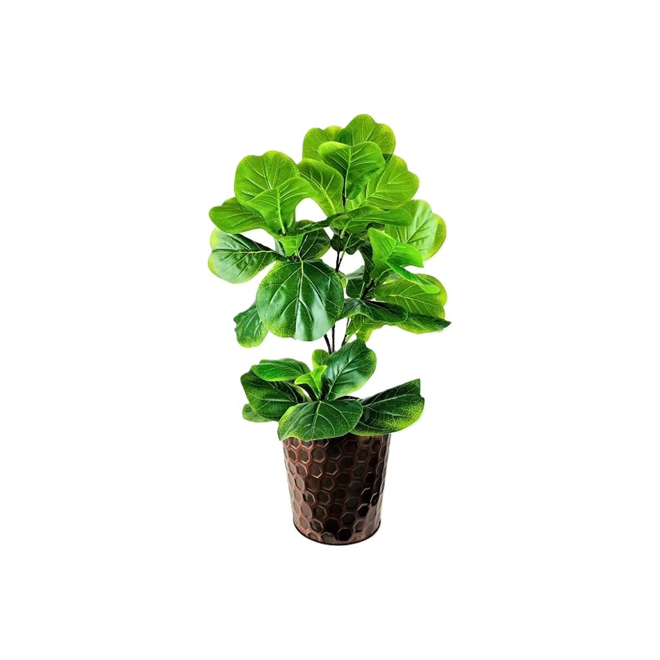 lcgs green trees   