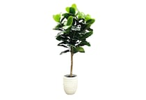 lcgs green trees   