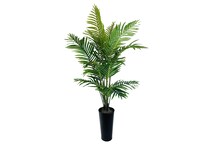 lcgs green trees   