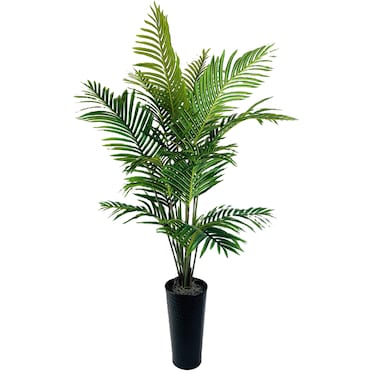 Palm in Tall Metal Planter 5'H