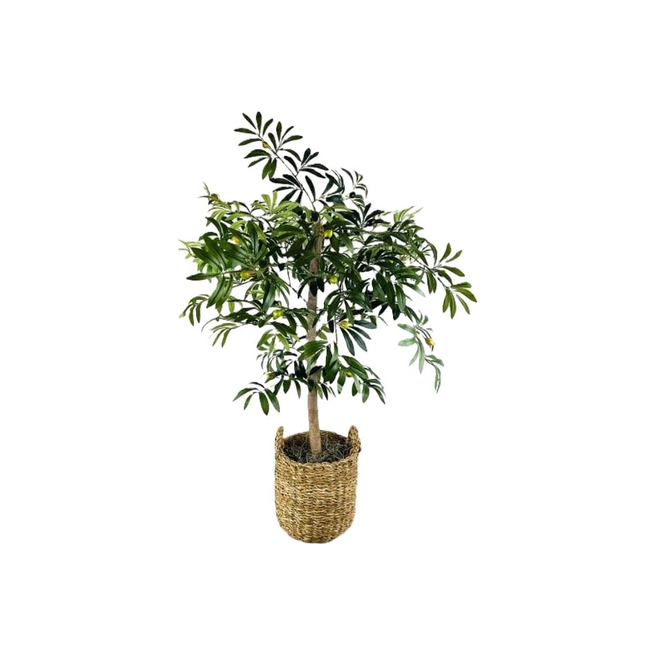 lcgs green trees   