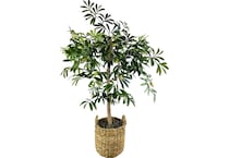 lcgs green trees   