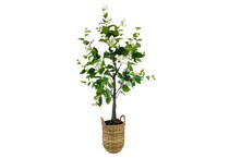 lcgs green trees   