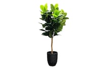 lcgs green trees   