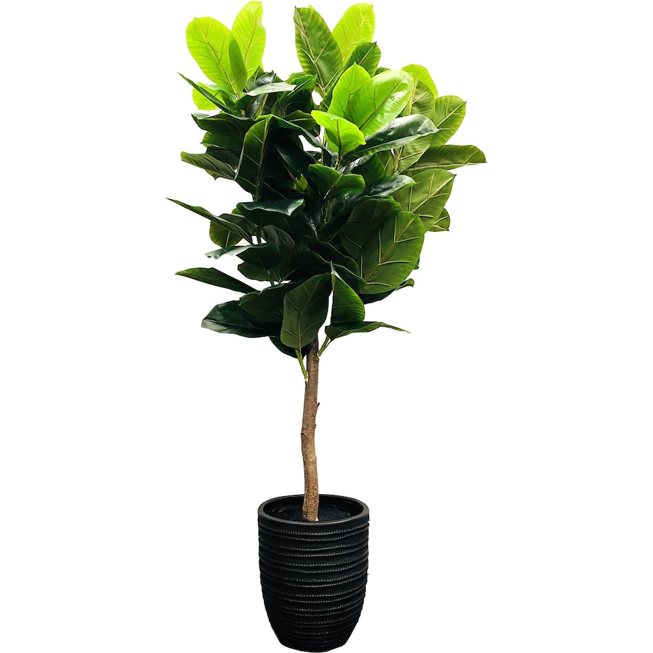 lcgs green trees   