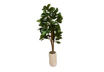 lcgs green trees   