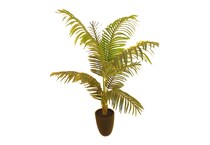 lcgs green trees   