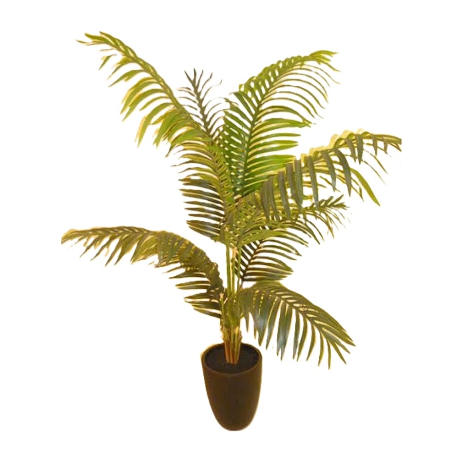 lcgs green trees   