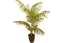 lcgs green trees   