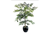 lcgs green trees   