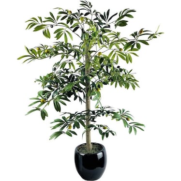 Olive Tree In Black Ceramic Pot 4'H