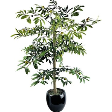 Olive Tree In Black Ceramic Pot 4'H