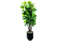 lcgs green trees   