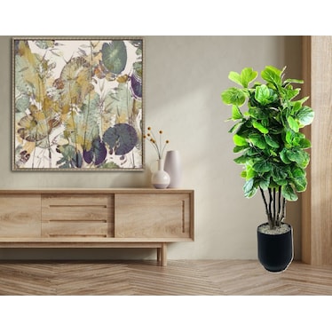 Fig in Black Ceramic Planter 7'H