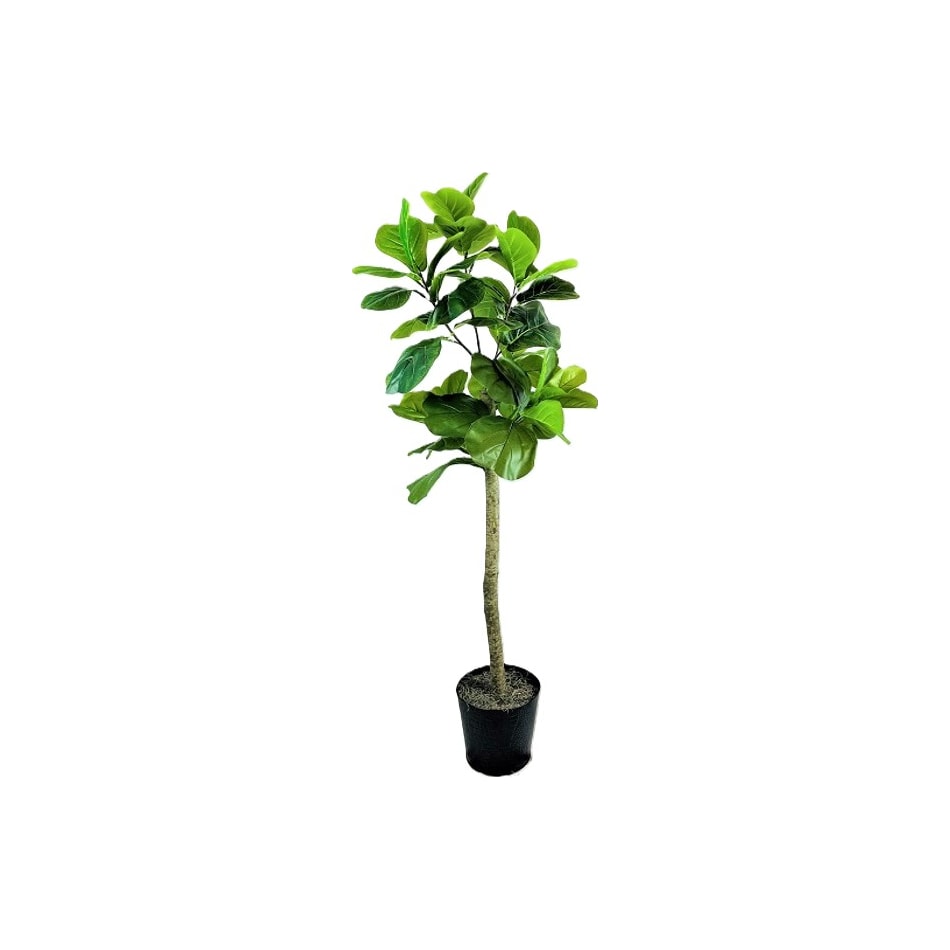 lcgs green trees   
