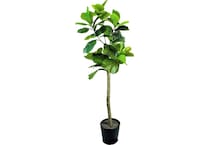 lcgs green trees   
