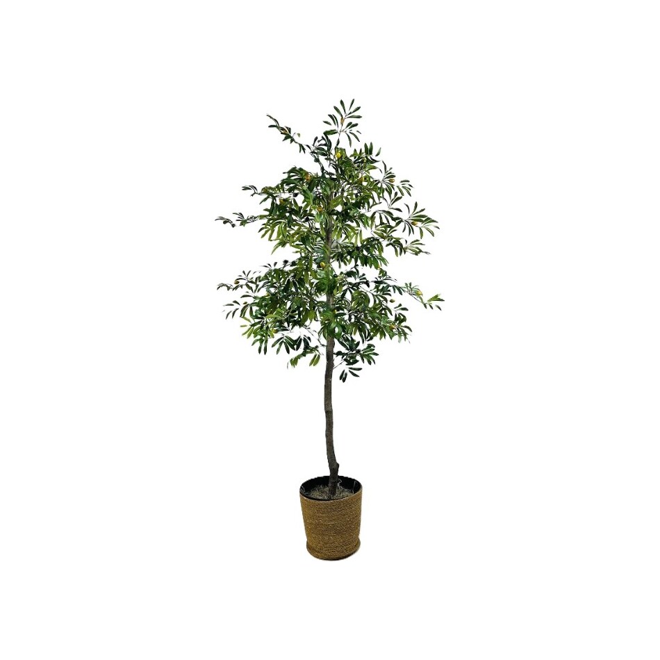 lcgs green trees   