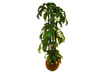 lcgs green trees   