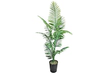lcgs green trees   