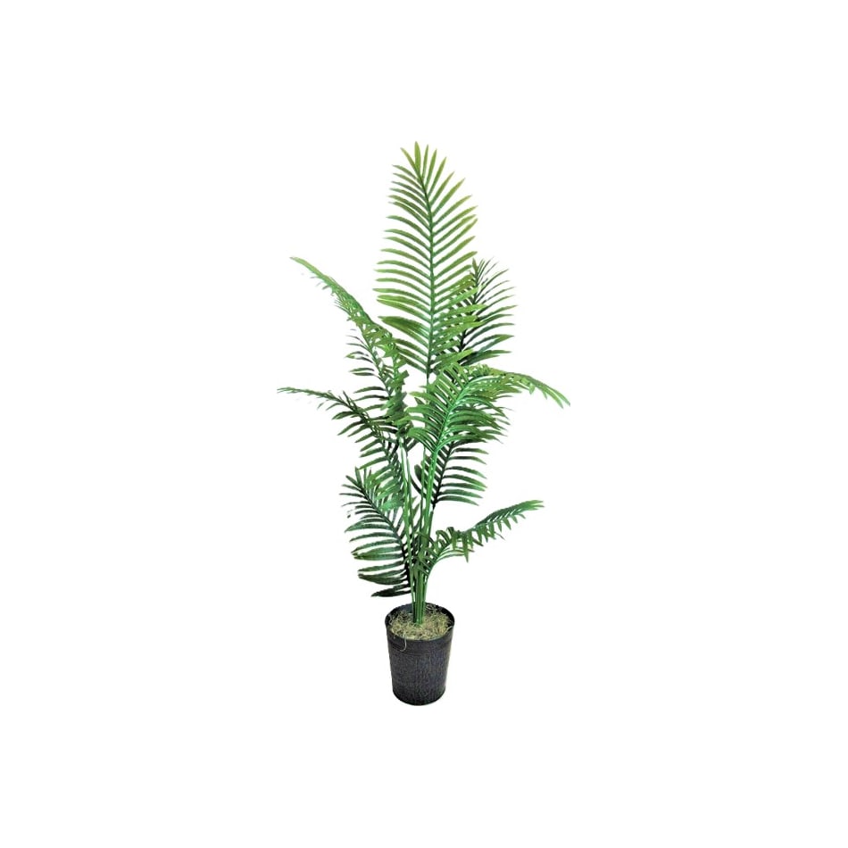 lcgs green trees   