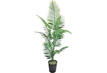lcgs green trees   